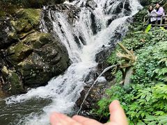 -莫里热带雨林景区