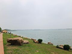 -丁香湖公园