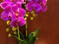 -木兰逸•泰式按摩•头疗•SPA(车公庙店)