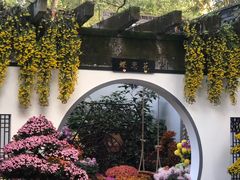 -杭州植物园