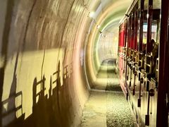 -深圳东部华侨城茵特拉根酒店