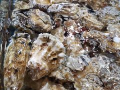 姜汁蒸法国生蚝-徐记海鲜(梅溪新天地店)