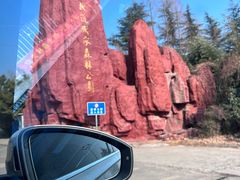 -黄河故道国家森林公园