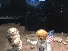 -济州岛泰迪熊博物馆