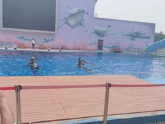 -北戴河圣蓝海洋公园