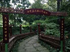 -成都市活水公园