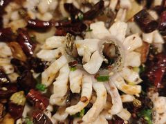 -三猫黑鱼花(南大店)