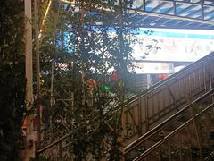 -杨厝六十六农庄农舍(杨厝路店)