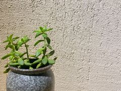 -如意山房柿子树下餐厅