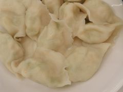 黄瓜鲜虾水饺-东方饺子王(新奥购物中心店)