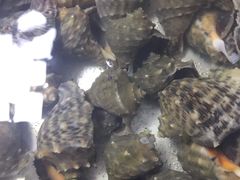 -南戴河海滨市场