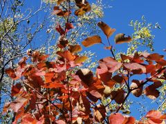 -北京西山国家森林公园