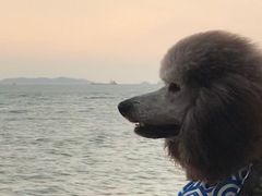 -音乐广场