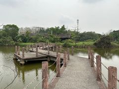 -海上田园