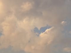 -上海虹桥迎宾馆