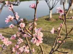 -月湖风景区