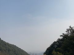 -韬光茶庵