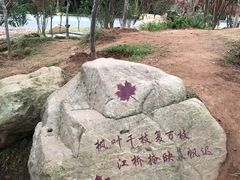 -广州市帽峰山景区