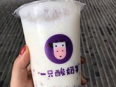 -一只酸奶牛(八一路店)