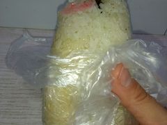 -糯米包油条(武汉大学店)