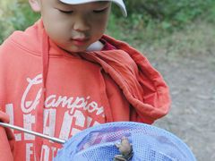 -碓臼峪自然风景区