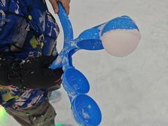 -世界之窗阿尔卑斯冰雪世界