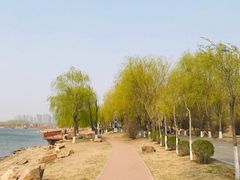 -丁香湖公园