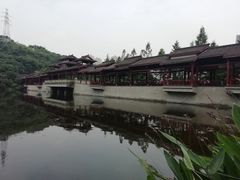 -重庆彩云湖湿地公园