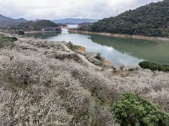 -广州市流溪河国家森林公园