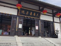 -大唐贡茶院