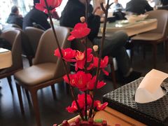 -八珍饺子·烤鸭·家常菜