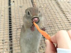 -北京鹿世界主题园