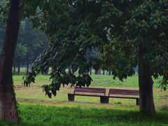 -汉长安城未央宫国家考古遗址公园