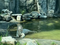 -北京野生动物园