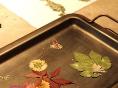 -自由生长植物工作室(深港花卉中心店)