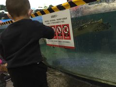 -鸿通城购物中心