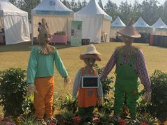 -上海长兴岛郊野公园