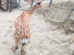 -昆明动物园