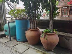 -叶太YETAI(良库店)