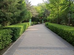 -古塔公园