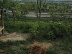 -太原动物园