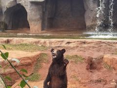 -海南热带野生动植物园