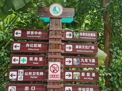 -西双版纳原始森林公园