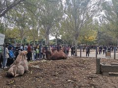 -长白岛森林公园