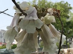 -江湾镇街道社区文化活动中心
