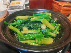 啫啫芥兰-老坑记·香港经典粤菜馆