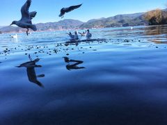 -泸沽湖里格半岛