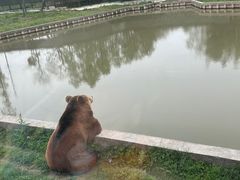 -上海野生动物园