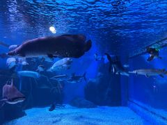 -多彩贵州城极地海洋世界