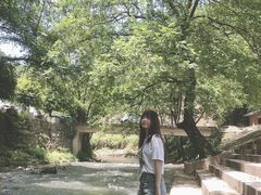 -大围山国家森林公园
